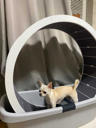 EunBee님이 올린 리뷰 사진 1