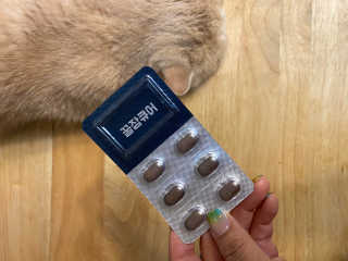 조은약초 꿀잠큐어 제주 감태추출물 감태정 600mg — 4점을 준 리뷰어가 2020년 7월 올린 사용 사진