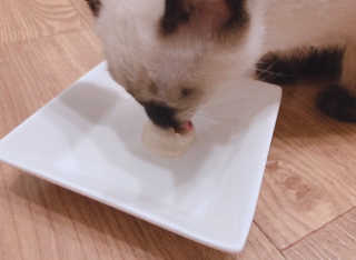 모닝스타님이 올린 리뷰 사진 3