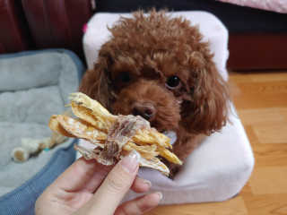 연이님이 올린 리뷰 사진 2