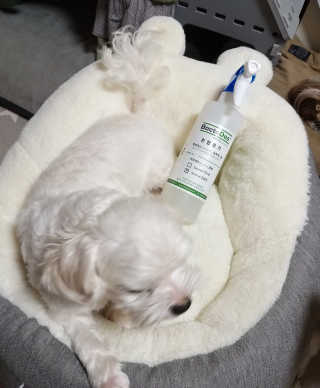 하나님이 올린 리뷰 사진 1