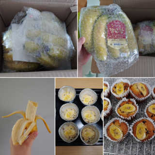 [스미후루] 감숙왕 바나나 2팩 2.6kg 이벤트 — 5점을 준 리뷰어가 2020년 9월 올린 사용 사진