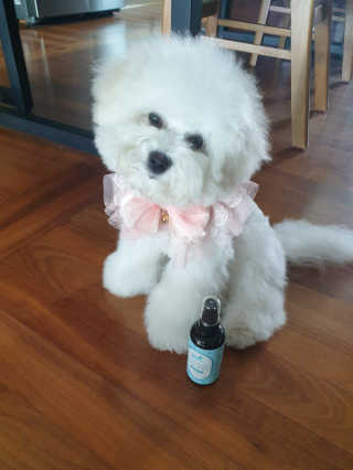 인아지아맘님이 올린 리뷰 사진 1