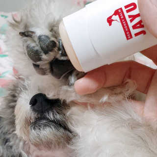 [레드허니밤]자유펫 고양이 강아지 발바닥 밤 14g — 5점을 준 리뷰어가 2020년 7월 올린 사용 사진