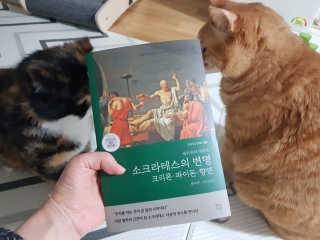 현대지성 소크라테스의 변명·크리톤·파이돈·향연 — 5점을 준 리뷰어가 2020년 4월 올린 사용 사진