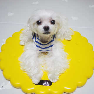 최정임님이 올린 리뷰 사진 2