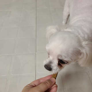My Pet Care 천연단백질 치아건강에 개좋아 — 5점을 준 리뷰어가 2020년 12월 올린 사용 사진