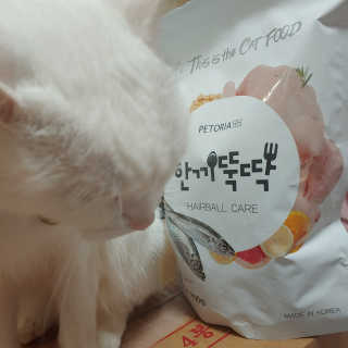 라온시연님이 올린 리뷰 사진 3