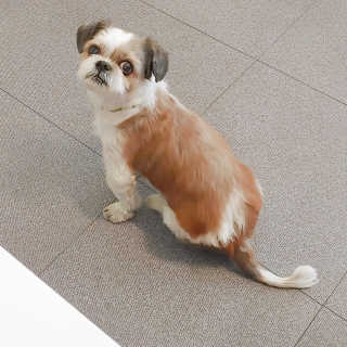 스텔라님이 올린 리뷰 사진 2