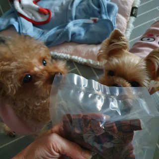 My Pet Care 천연단백질 눈건강에 개좋아 — 5점을 준 리뷰어가 2020년 12월 올린 사용 사진