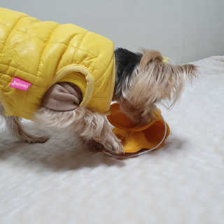 솜희님이 올린 리뷰 사진 3