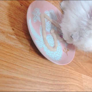 수미님이 올린 리뷰 사진 4