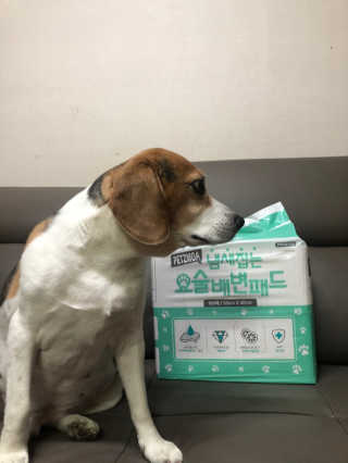 지우님이 올린 리뷰 사진 3