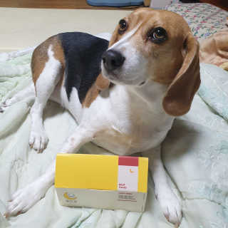 beaglelove님이 올린 리뷰 사진 1