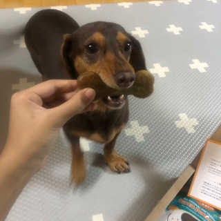 밍라맘님이 올린 리뷰 사진 3