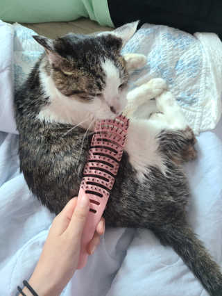 루잉루잉님이 올린 리뷰 사진 1
