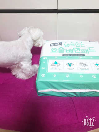 바이에이미님이 올린 리뷰 사진 2
