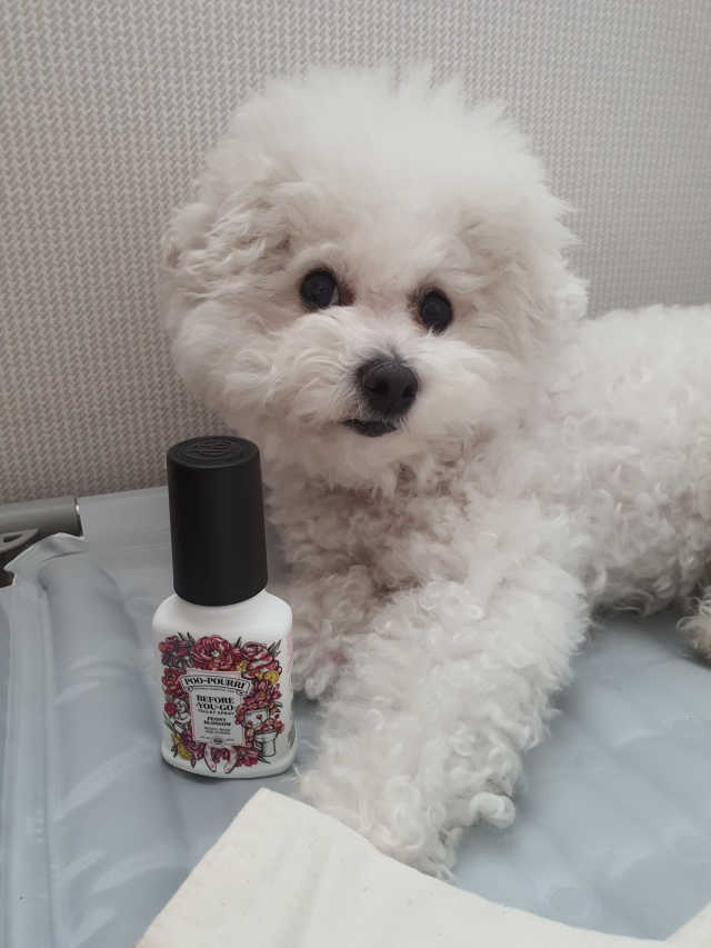 푸푸리 피오니블라썸 59ml 리뷰 사진