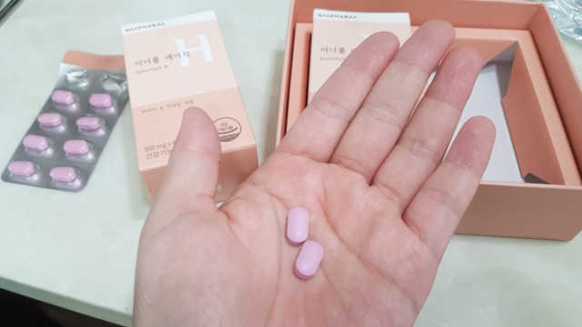 이너풀 에이치 리뷰 사진