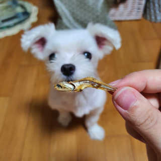 수빈님이 올린 리뷰 사진 4