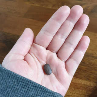 조은약초 꿀잠큐어 제주 감태추출물 감태정 600mg — 5점을 준 리뷰어가 2020년 4월 올린 사용 사진