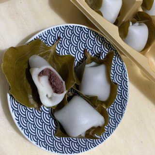 영지버섯님이 올린 리뷰 사진 2
