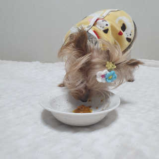 솜희님이 올린 리뷰 사진 3