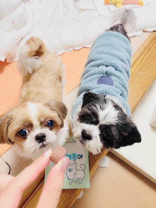 My Pet Care 천연단백질 눈건강에 개좋아 — 5점을 준 리뷰어가 2020년 12월 올린 사용 사진