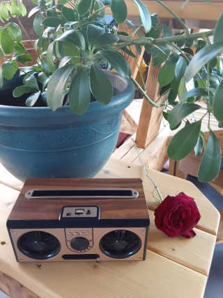 SEVIZ RETRO20W 레트로 블루투스 스피커 — 5점을 준 리뷰어가 2020년 10월 올린 사용 사진