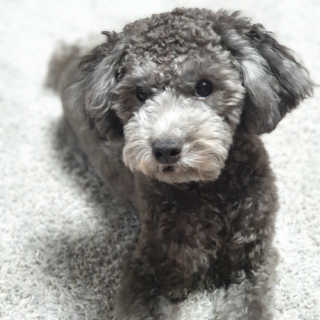 엄지콩님이 올린 리뷰 사진 3