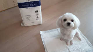 담님이 올린 리뷰 사진 3