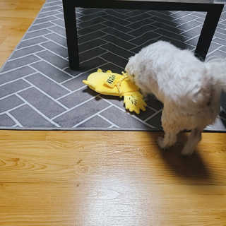 쮸디님이 올린 리뷰 사진 4