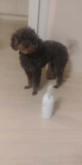 Medilox 메디록스 살균소독제_3종 500ml [택 1] — 5점을 준 리뷰어가 2020년 8월 올린 사용 사진
