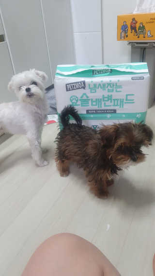 광팔이콩맘ㅎ님이 올린 리뷰 사진 2