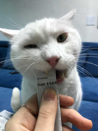 IS2UL님이 올린 리뷰 사진 3