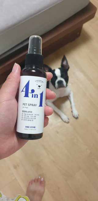 jeinok님이 올린 리뷰 사진 1