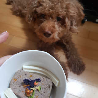 제이드님이 올린 리뷰 사진 2