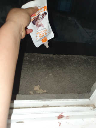 [캣시피] 고양이들의 반찬, 대용량 츄르 3종 — 5점을 준 리뷰어가 2020년 8월 올린 사용 사진