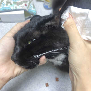 oiho님이 올린 리뷰 사진 3