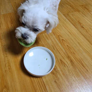 쮸디님이 올린 리뷰 사진 3