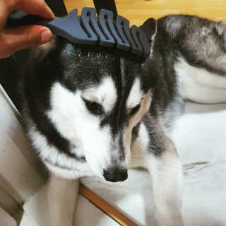 Soo님이 올린 리뷰 사진 2