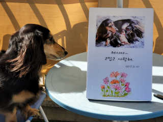 5_daks님이 올린 리뷰 사진 4