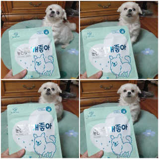My Pet Care 천연단백질 눈건강에 개좋아 — 5점을 준 리뷰어가 2020년 11월 올린 사용 사진