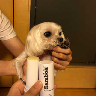 빼곰님이 올린 리뷰 사진 1