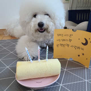 key56님이 올린 리뷰 사진 1