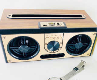 SEVIZ RETRO20W 레트로 블루투스 스피커 — 5점을 준 리뷰어가 2020년 7월 올린 사용 사진