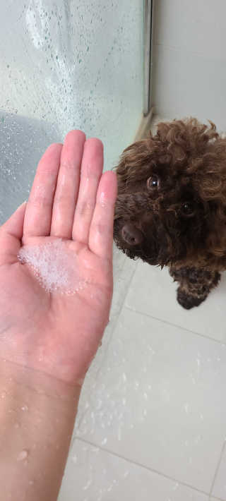 콜라네님이 올린 리뷰 사진 3