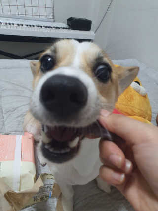 박지은님이 올린 리뷰 사진 4