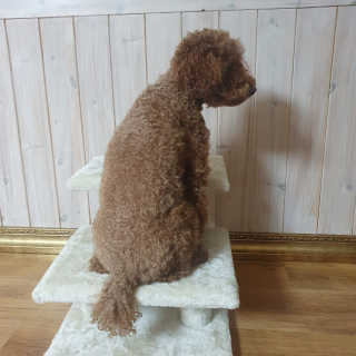 콩콩이님이 올린 리뷰 사진 2