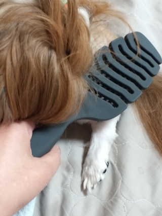 하나님이 올린 리뷰 사진 1